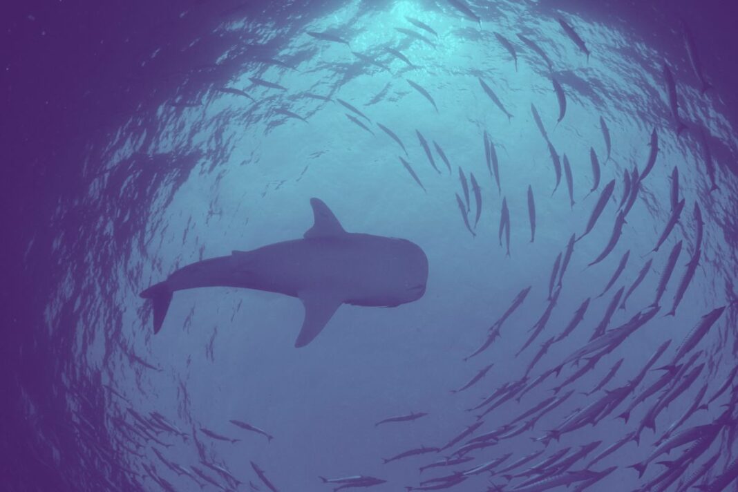 Google Bard dévoile les choix des baleines Chainlink (LINK), Litecoin (LTC) et Everlodge (ELDG) - canva