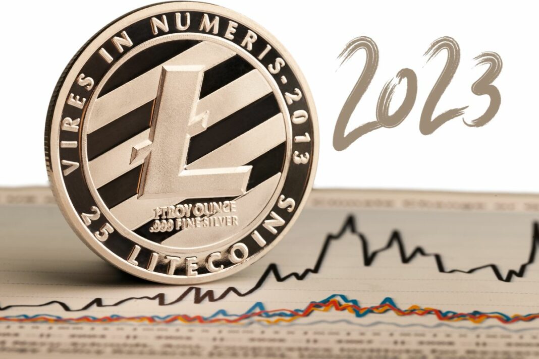 Bilan de l’année écoulée avec le Litecoin (LTC) - CANVA