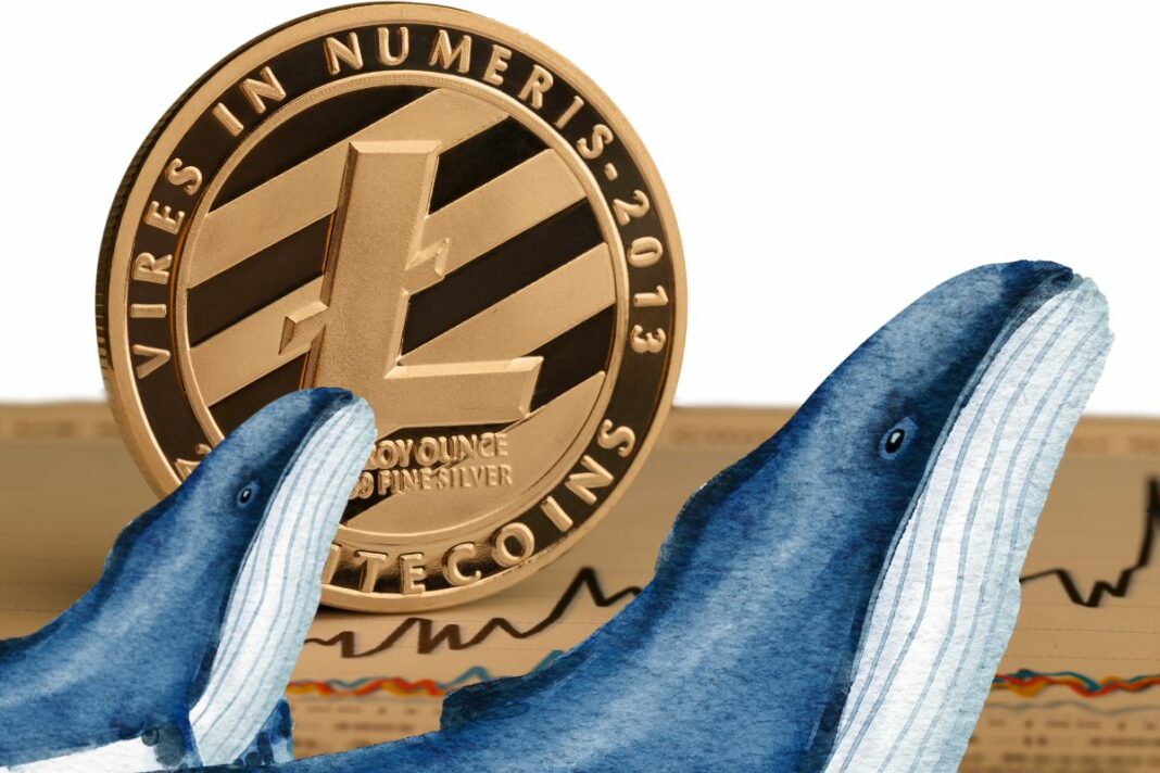 Les baleines renforcent la position du Litecoin (LTC) en injectant 1,06 milliard de dollars