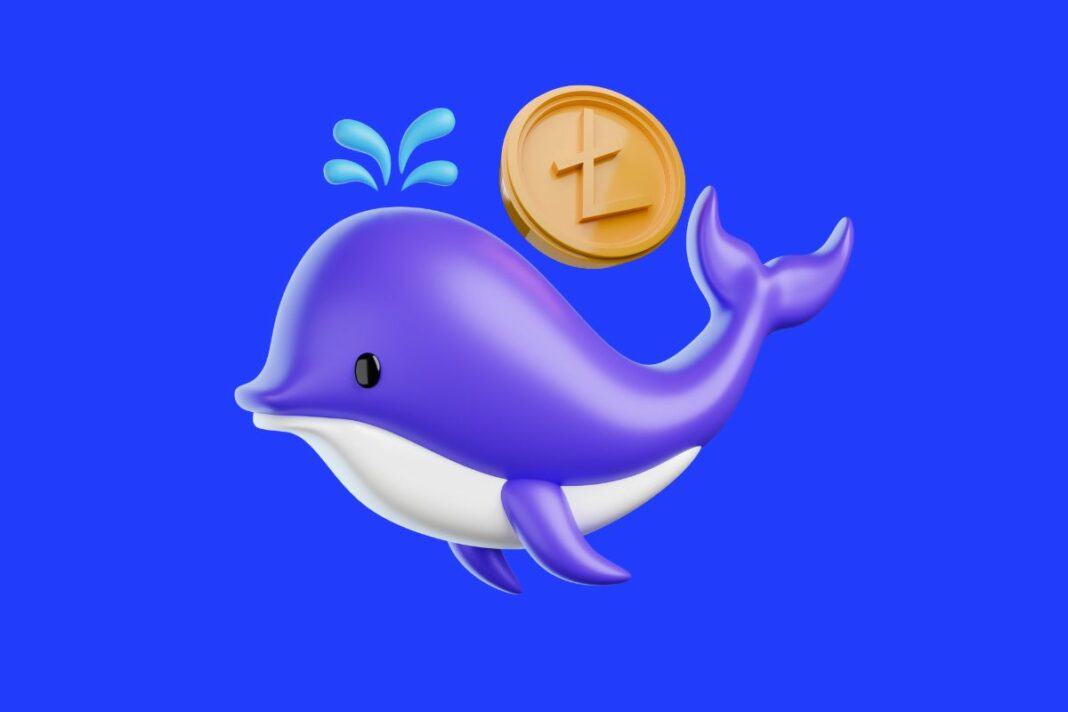 Baleines LTC en action renforcement stratégique du Litecoin